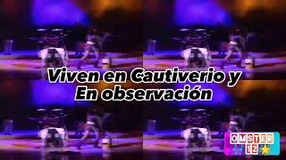 ✨✨✨Que bueno que no fui Lady Di - Gloria Trevi🌹letra en español ✨💖