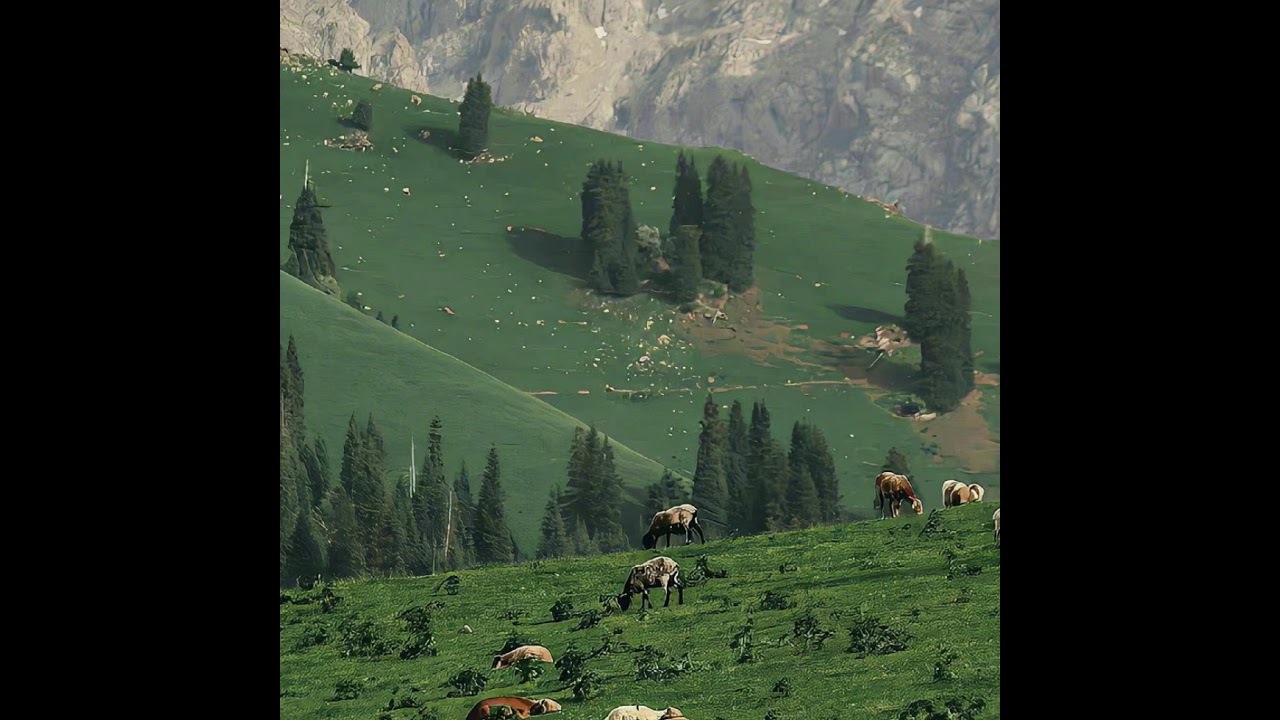 Donut SMP Live | Rating Bases | Loot Drop At 25 View | 500M Gambling | 1M Per Base | Buying Skellys