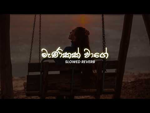 Manikak Wage (මැණිකක් වාගේ) Slowed & Reverb | Heart Touching Sinhala Song 2026 💖 | NPZ Music