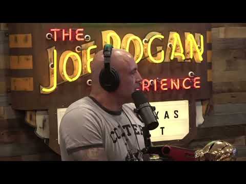 Joe Rogan How Did Mark Meet The Whittakers INSANE Story!!