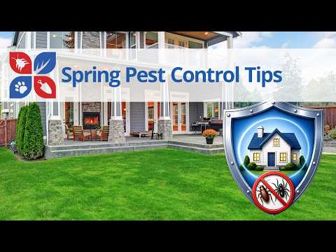  Spring Pest Control Tips Video 