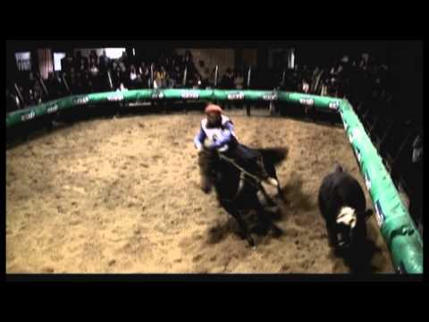, title : 'Criollos Pferde in Uruguay - Caballos criollos en Uruguay'