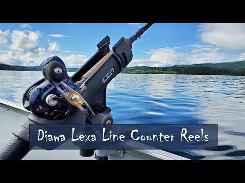 Daiwa Lexa Reel Review