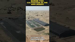 AMAZING!! China Successfully Cultivates Marine Fish in the Desert