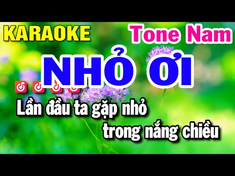 NHỎ ƠI Karaoke - Tone Nam - Nhạc Sống - Huỳnh Lê