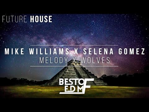 Mike Williams x Selena Gomez - Wolves x Melody (Tip Of My Tongue)(Mike Williams Mashup)