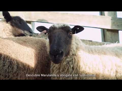 Marulanda: El Único Pueblo Ovinocultor de Caldas | Un Encanto por Descubrir 🐑⛰️