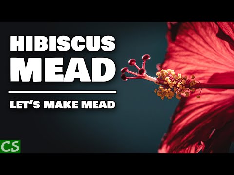 Hibiscus Mead - Let's Make Mead!