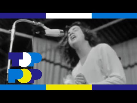 The Pretty Things - Don't Bring Me Down - Beat uit Blokker • TopPop