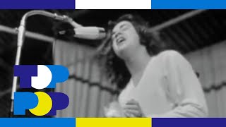 The Pretty Things - Don't Bring Me Down - Beat uit Blokker • TopPop