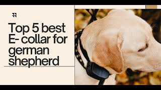 Top 5  Best E-collar For German Shepherd