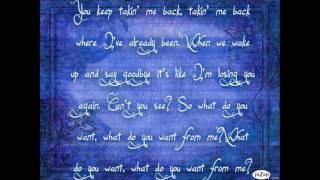 Jerrod Niemann- What do you want lyrics