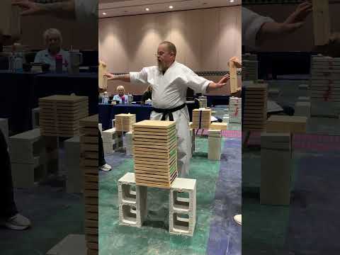 ISKA WORLD CHAMPIONSHIPS #breaking #mrkarate #karate # combat sports #mma # taekwondo