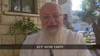 להלחם בעזה כמו שנלחמנו באיראן | הרב שמואל אליהו | הלכה יומית | כ״ט סיוון תשפ״ה (הרב שמואל אליהו) - התמונה מוצגת ישירות מתוך אתר האינטרנט יוטיוב. זכויות היוצרים בתמונה שייכות ליוצרה. קישור קרדיט למקור התוכן נמצא בתוך דף הסרטון