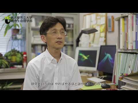 人文学科 総合生命理学部2018（2018年4月開設）