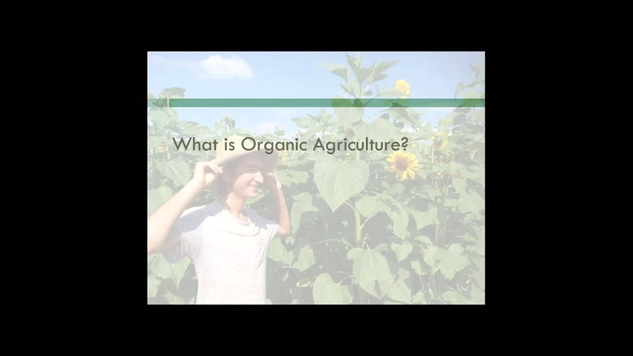 Organic Food and Farming  What are the Benefits