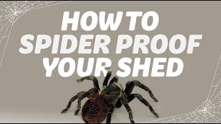 Spider repellent shed - How to spider proof your shed