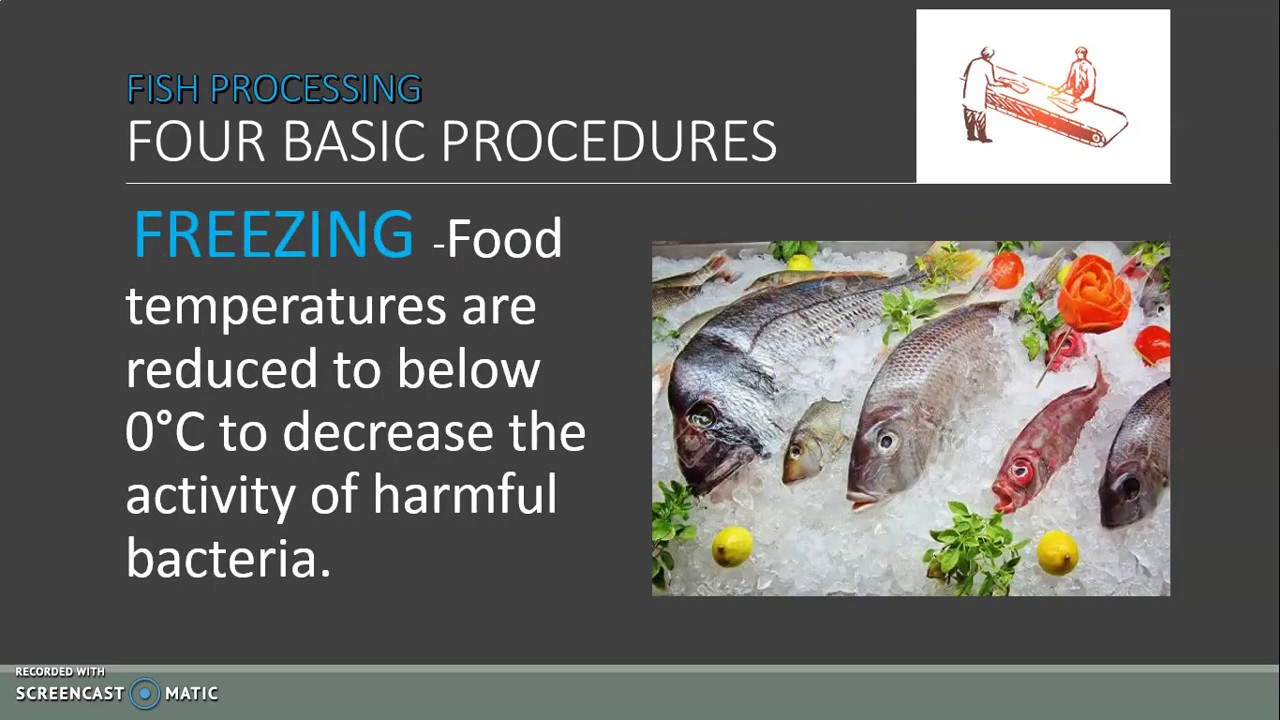 A Lesson on Fish Processing : Bottling/Canning