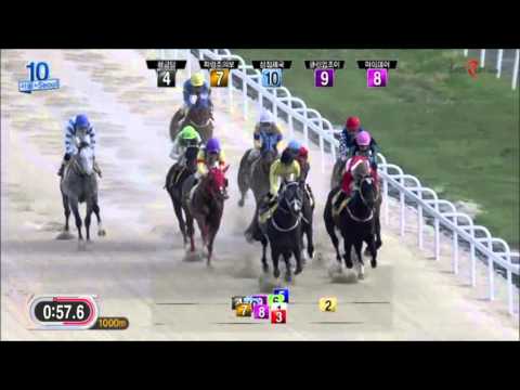 Clean Up Joy 8 May, 2016 (English)