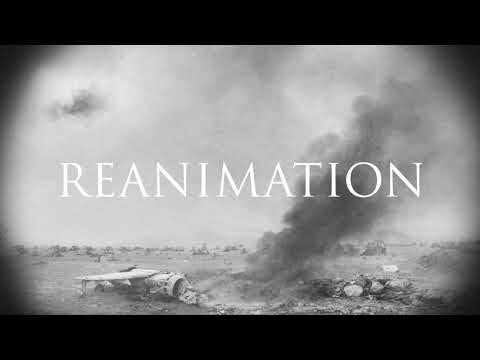 Karnivool - Reanimation (Lyric Video)