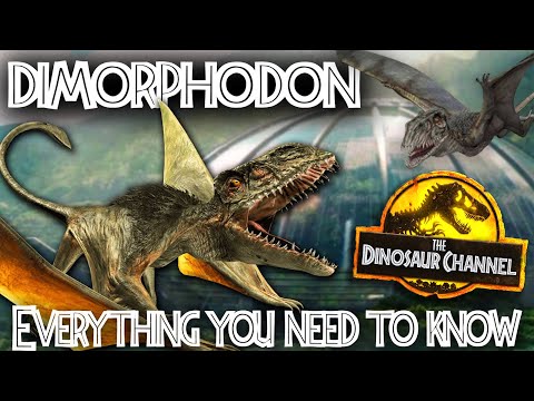 What was the Dimorphodon?  - The Dinosaur Channel