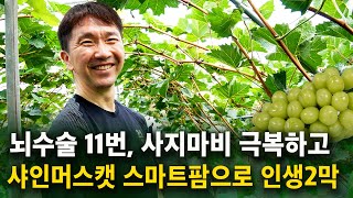 뇌 수술 11번, 사지마비 이겨내고, 스마트팜 '샤인머스켓' 농사로 인생2막 시작한 '최민석'농부님 [샤인머…