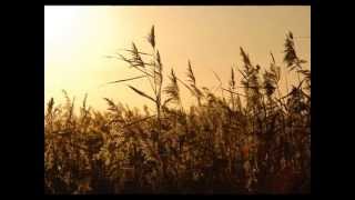 Batten Down the Hatches - In Case We Haven't Met