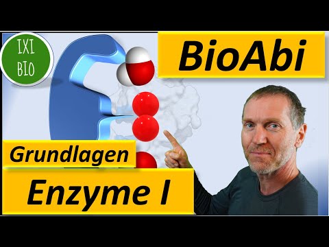 Enzymes 1 - Application tasks on the key-lock principle - Substrate specificity - Action specificity