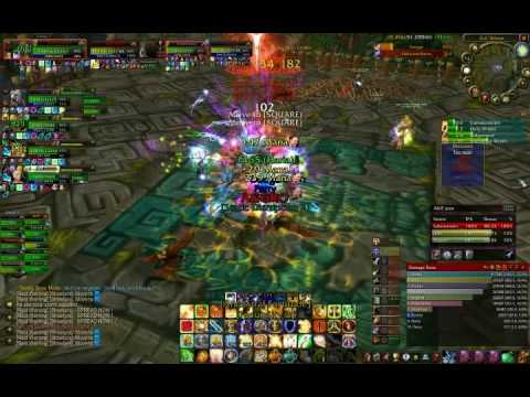 WoW Akil'zon Paladin Tank