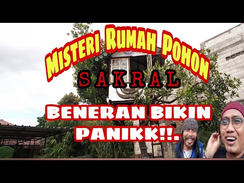 misteri-rumah-pohon-sakral-beneran-bikin-panik