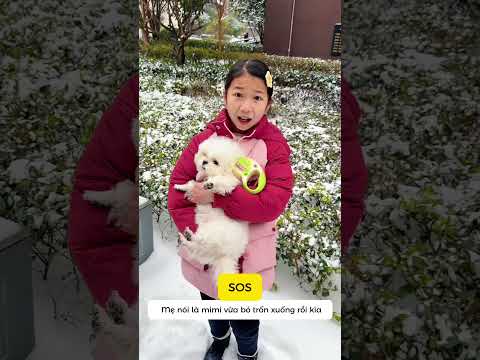 Đi chơi tuyết bất ổn