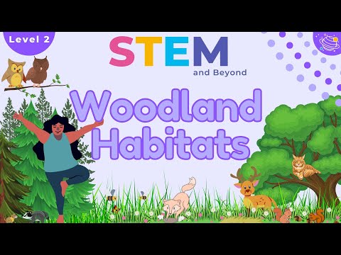 Woodland Habitats| KS1 Year 2 Science  | STEM Home Learning