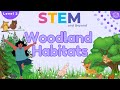 Woodland Habitats| KS1 Year 2 Science  | STEM Home Learning