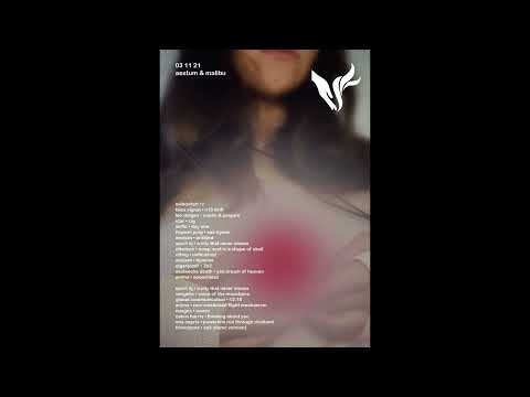 United in Flames w/ Aestum & Malibu - 3rd November 2021