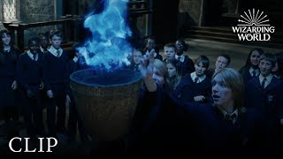 Triwizard Tournament Nominations