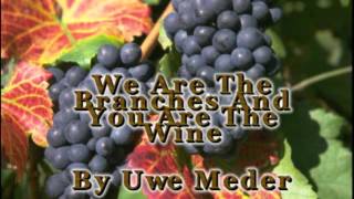 We Are The Branches And You Are The Vine - Uwe Meder - live