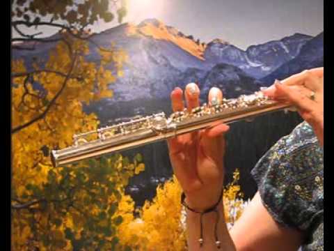 Yamaha Allegro 371 Used Flute for Sale - Low to Mid Register