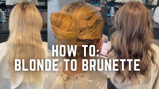 Blonde to Brunette hair transformation - dying hair back to natural tutorial