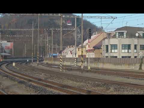 Kralupy nad Vltavou 22.11. 2025