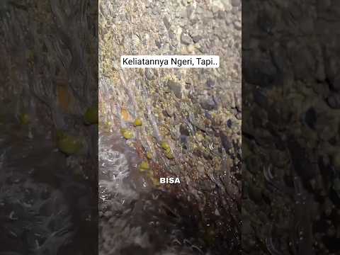 Ini Masalah Besar Buat Jepang #shorts