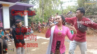Download lagu GENDING CAMPURSARI setyo budoyo #sc #campursari mp3 Download lagu GENDING CAMPURSARI setyo budoyo #sc #campursari mp3