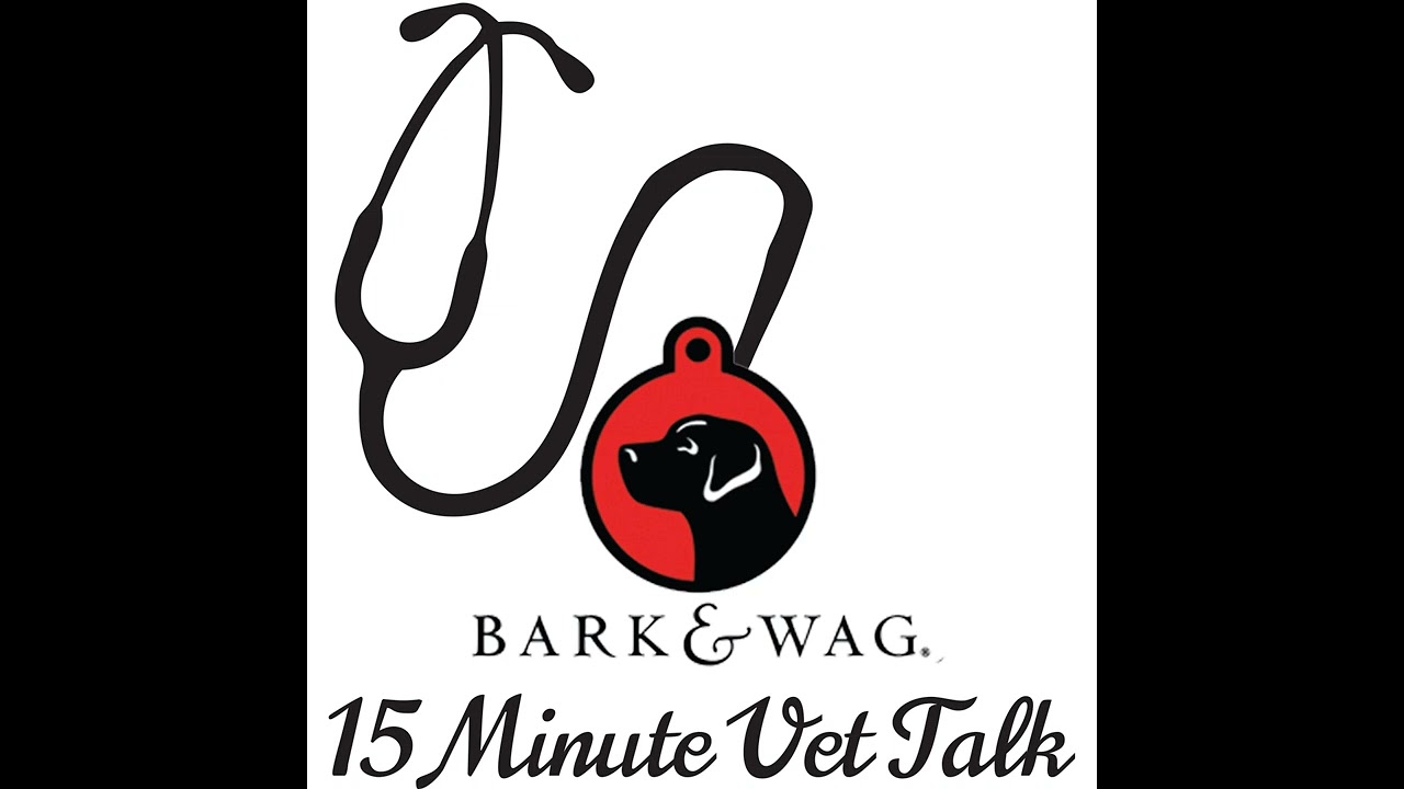 Learn about Shepherd's Rest Goat and Sheep Rescue's G.O.A.T Progam. Go Out and Thrive!