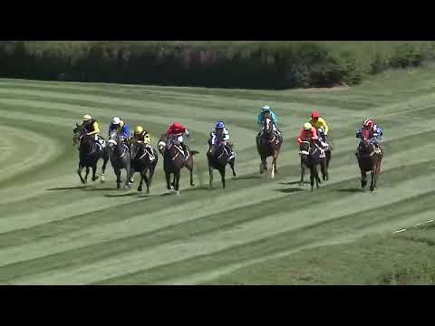 2023.07.02 3. FUTAM - GALOPPCLUB IFFEZHEIM - FLANDORFFER TAMÁS EMLÉKVERSENY (I.KAT.)