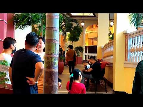 Presenting the beautiful view of (VENICE GRAND CANAL)