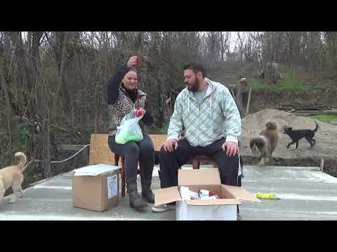 Am primit colet din Israel