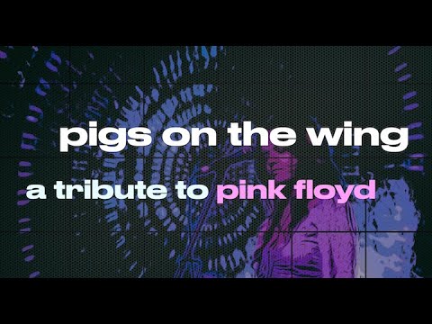Pigs on the Wing: Echoes of Pink Floyd tour 2024-2025