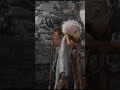 THE CROODS HINDI