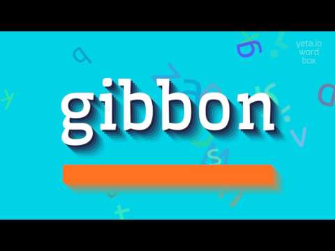 GIBBON - HOW TO SAY GIBBON? #gibbon