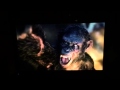 Ape Not Kill Ape