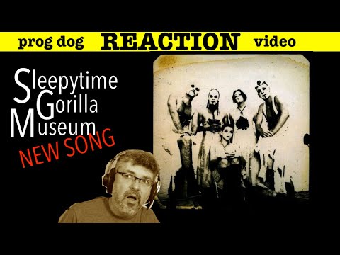 "Salamander in Two Worlds" New Sleepytime Gorilla Museum! (reaction ep. 849)